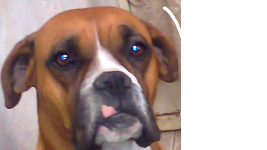 qqqqqqqqqqqqqqqqqqqq
qqqqqqqqqqqqqqqqqqqq